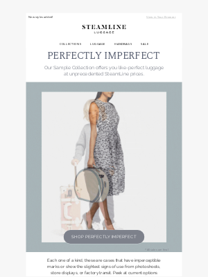 Steamline Luggage - Find Your One-of-a-Kind Travel Companion