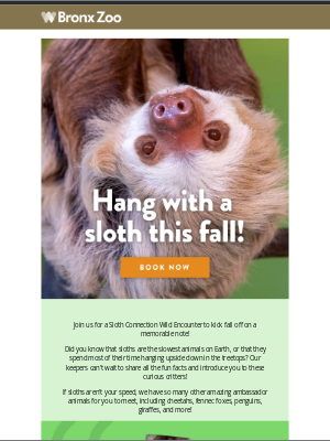 Wildlife Conservation Society - 🦥 Hang with a sloth this fall