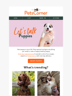 Pets Corner (United Kingdom) - Top products for April we know you’ll love