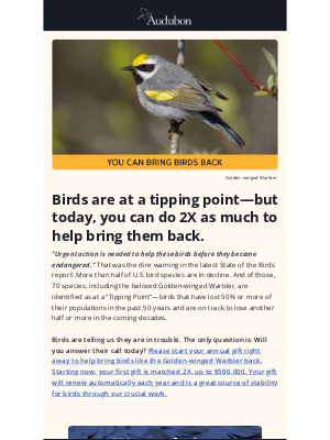 Birds are at a tipping point—but today, you can do 2X as much to help bring them back