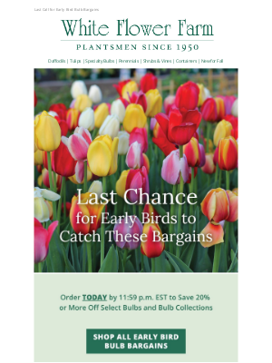 White Flower Farm - Sale Ends Tonight at Midnight: Save 20% or More Off Select Bulbs