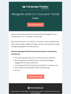 Campaign Monitor - Just Released – 2024 United States Consumer Trends Index