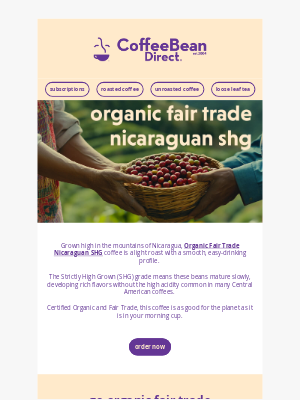 Coffee Bean Direct - Sip Sustainably: Organic Nicaraguan SHG Coffee 🌱