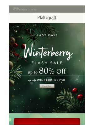 Pfaltzgraff - This Secret Sale Never Happened..Up to 80% OFF Winterberry