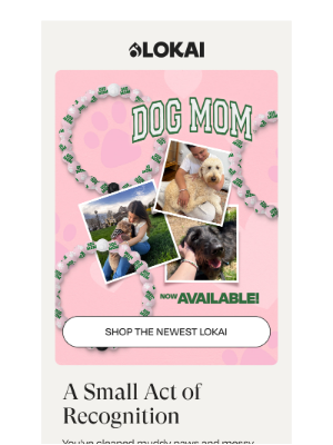 Lokai - It's Your Turn To Be Honored