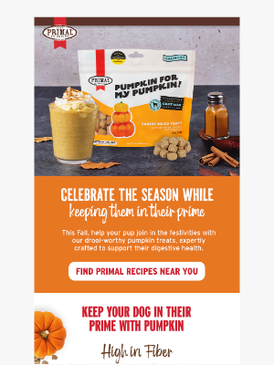 Primal Pet Foods - Experience the Health Benefits of Feeding Your Dog Pumpkin 🎃