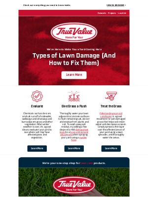 True Value - 🏡 4 Types of Lawn Damage (And How to Fix Them)