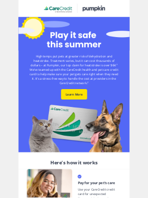 Pumpkin Petcare - Handle the heat with the CareCredit credit card ☀️