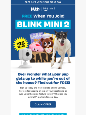 Related Email 2