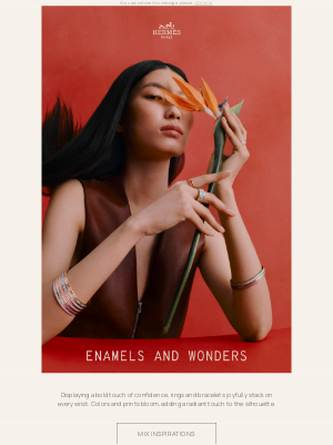 Hermes USA - Enamels and wonders