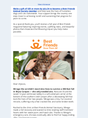 Best Friends Animal Society - She survived a tragic fall