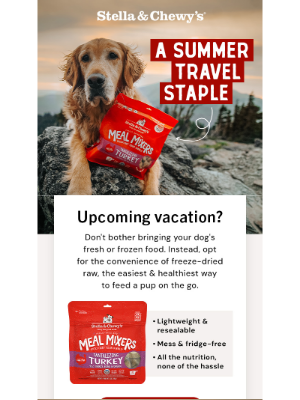 Stella & Chewy's - Traveling with your pup this summer? ✈️