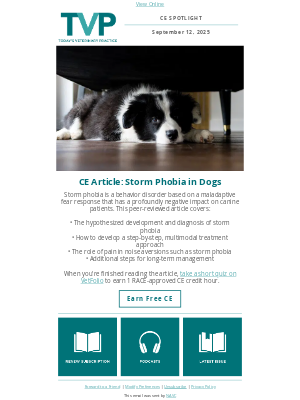 NAVC - Storm Phobia in Dogs: A Step-by-Step Management Approach