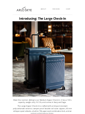 ARLO SKYE - Introducing The Large Check-In