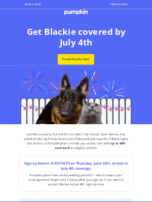 Pumpkin Petcare - Get Blackie covered by July 4th