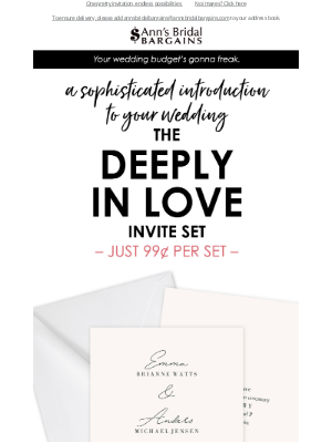 Anns Bridal Bargains - Imagine This SIMPLE + ELEGANT Invitation in Your Colors