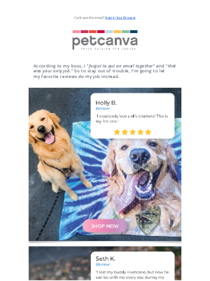 Pet Canva - Hi, whoops, I forgot to write an email today...