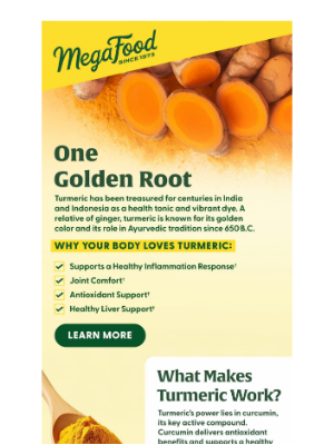 MegaFood - Turmeric 101: Your Guide to This Health-Supporting Root