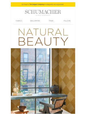 Schumacher and Co. - Brand-New from Backdrop! 