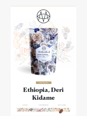 Methodical Coffee - ☕️ New Release: Ethiopia, Deri Kidame 🇪🇹