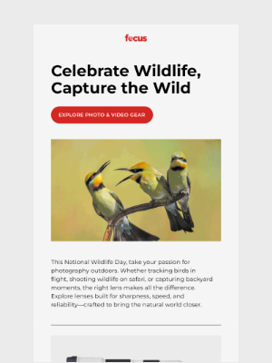 Focus Camera - Capture wildlife in stunning detail 🦅