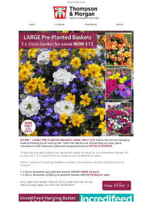 Thompson & Morgan (United Kingdom) - LARGE Pre-Planted Hanging Baskets ONLY £12 EACH!