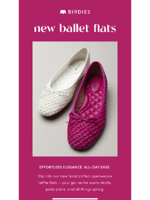 Birdies - Meet your new go-to ballet flats 🩰