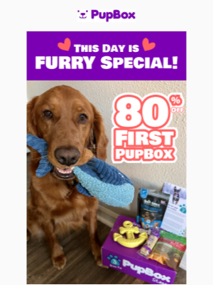 PupBox - Scott Paw Open for 80% OFF! 😍