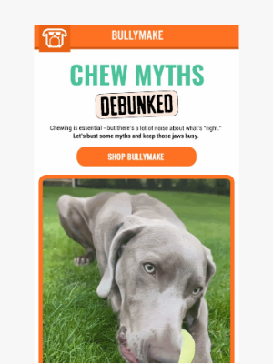 BULLYMAKE - Myth Busters (Dog Edition) 👀🔎