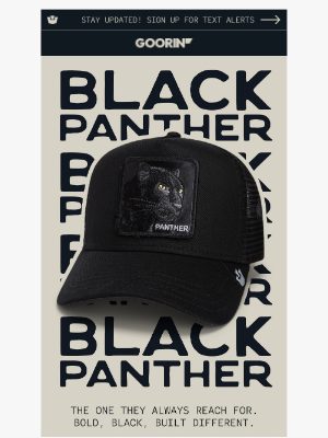 Goorin Bros. - Black Panther Is Not a Hat. It’s The Hat.