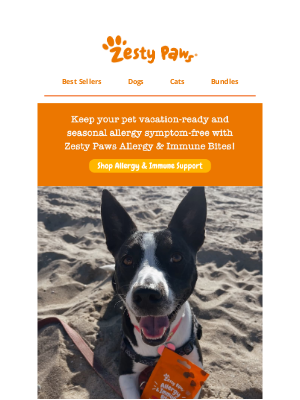 Zesty Paws - 🏖️ Beach Days > Itch Days 🐾