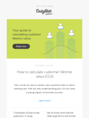 Delighted - Customer lifetime value: Calculating an important metric I June newsletter