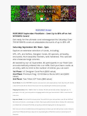 Uniquecorals - Saturday R2R FlashSale up to 85% off aquacultured healthy corals and lots of colonies! Panta ECM 42 in stock