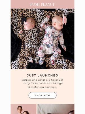 Posh Peanut - 🐆🌸✨JUST IN: Loretta Leopard & Aster