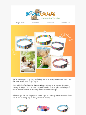 Hot Dog Collars - Sunny Side Up: July’s Brightest Looks Are Here