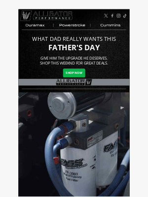Alligator Performance - What Dad Really Wants This Father’s Day