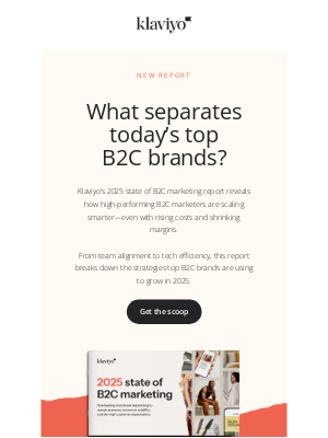 Klaviyo - The report every B2C marketer should see