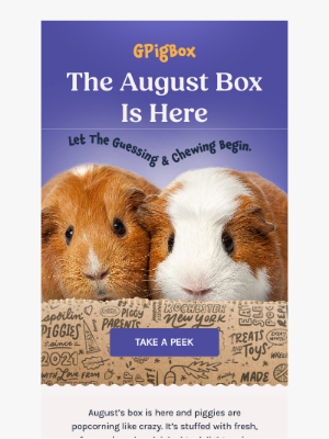 Fetch Pet Products - GPigBox - Unbox August Joy