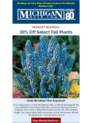 Michigan Bulb Co. - Mad about Monday? 😠 Try 30% off!