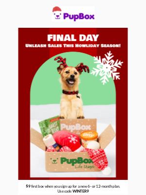 PupBox - 🎉 LAST CHANCE! 🎁 Your $9 First PupBox Is Waiting!