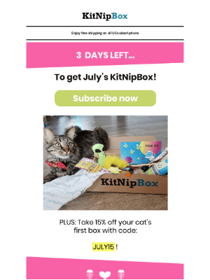 KitNipBox - 3 DAYS LEFT: Get July's Box Before It's Too Late! 😺