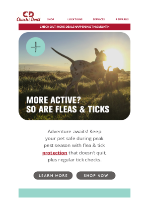 Kriser’s Natural Pet - Keep your pet safe outdoors