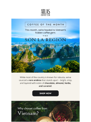 Atlas Coffee Club - Meet your coffee of the month 👀