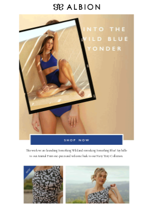 Albion Fit - RESTOCK, something BLUE  💙 LAUNCHING, something NEW