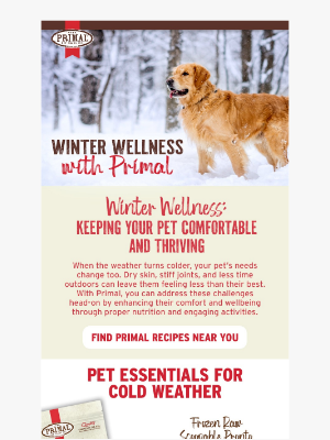 Primal Pet Foods - Beat the Winter Blues with Primal 🐾❄️