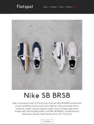 Flatspot - Nike SB BRSB - Online Now