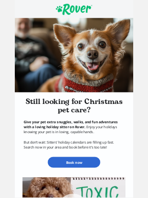 Rover.com - Act fast: Christmas pet care is booking up quick!