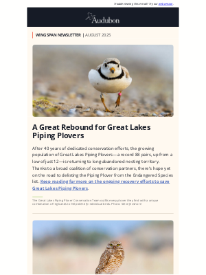 National Audubon Society - Need some good news about birds?