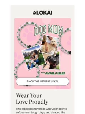 Lokai - For The Love That Never Wavers