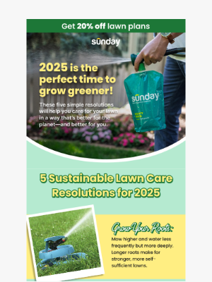 Sunday - New Year, Greener Lawn: Start Here